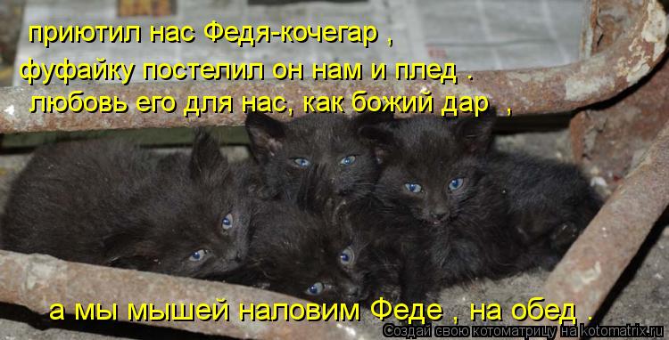 Котоматрица: приютил нас Федя-кочегар , фуфaйку постелил он нам и плед . любовь его для нас, как божий дар  , а мы мышей наловим Феде , на обед .