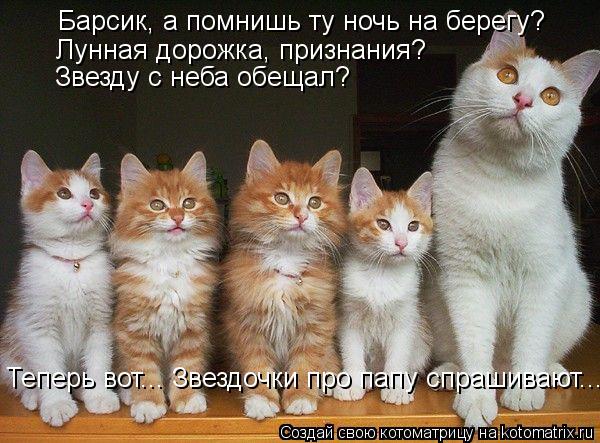 Барсик, а помнишь ту ночь на берегу? Лунная дорожка, признания? Звезду с неба обещал? Теперь вот... З... Котоматрица: Барсик, а помнишь ту ночь на берегу? Лунная дорожка, признания? Звезду с неба обещал? Теперь вот... Звездочки про папу спрашивают...