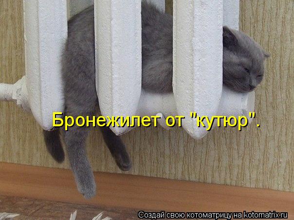 Бронежилет от "кутюр".... Котоматрица: Бронежилет от "кутюр".