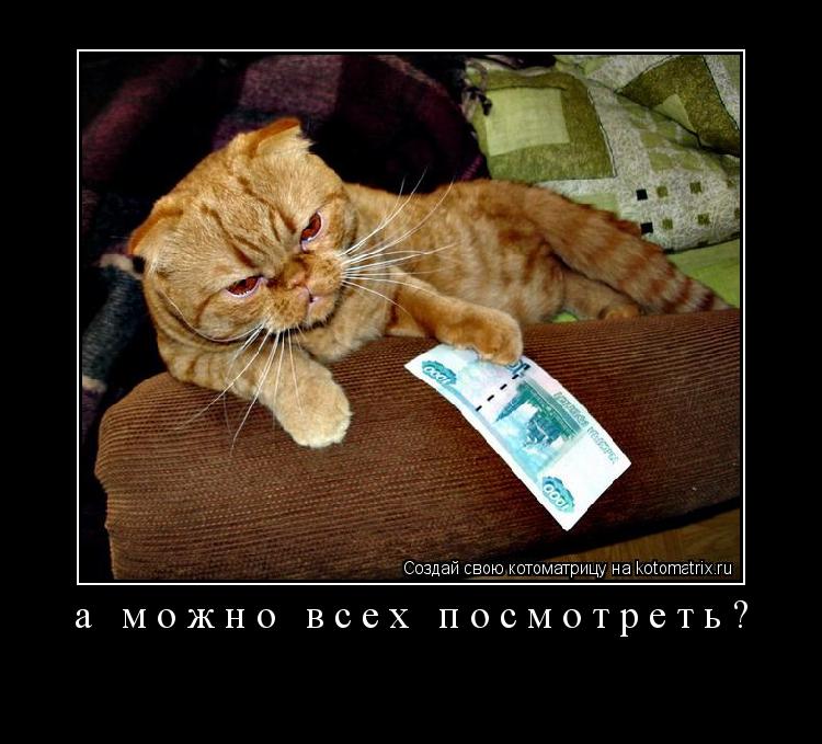 а можно всех посмотреть? ... Котоматрица: а можно всех посмотреть?