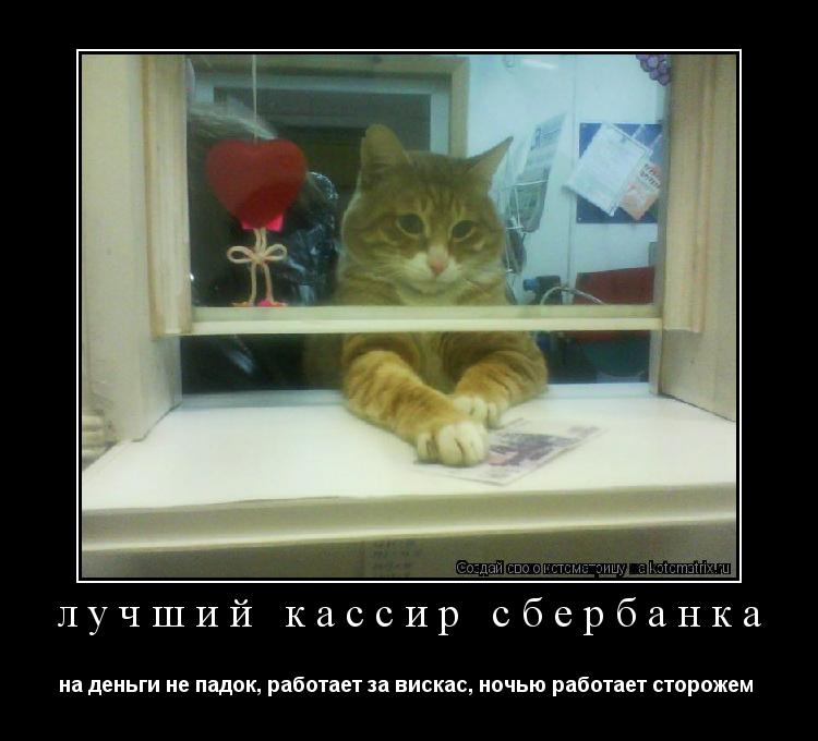 лучший кассир сбербанка на деньги не падок, работает за вискас, ночью работает сторожем ... Котоматрица: лучший кассир сбербанка на деньги не падок, работает за вискас, ночью работает сторожем