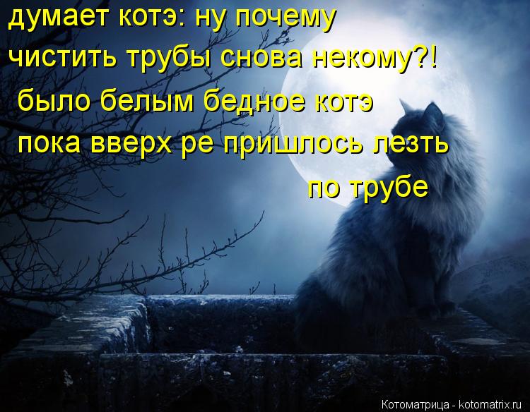 Котоматрица: думает котэ: ну почему чистить трубы снова некому?! было белым бедное котэ пока вверх ре пришлось лезть  по трубе