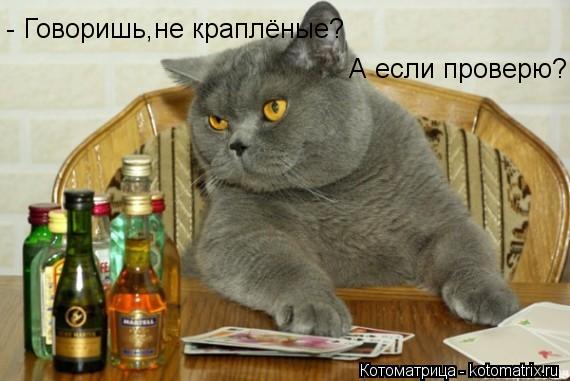 Котоматрица: - Говоришь,не краплёные? А если проверю?