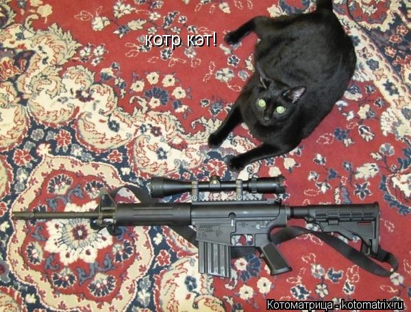 Котоматрица: котр кэт!