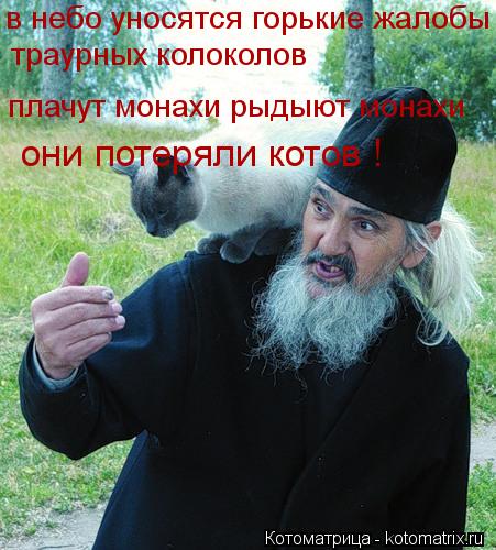 Котоматрица: в небо уносятся горькие жалобы траурных колоколов плачут монахи рыдыют монахи они потеряли котов !