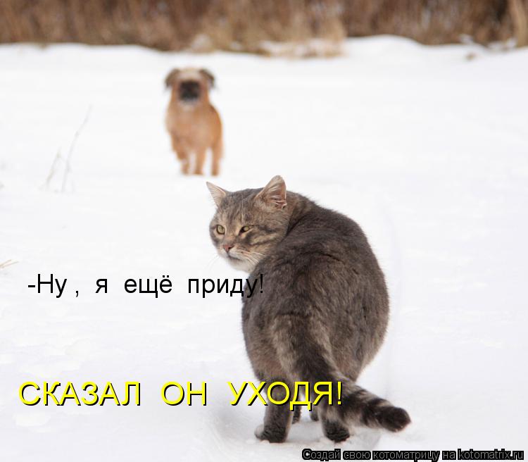 Котоматрица: -Ну ,  я  ещё  приду! СКАЗАЛ  ОН  УХОДЯ!