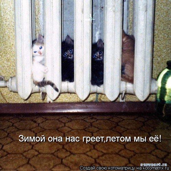Котоматрица: Зимой она нас греет,летом мы её!