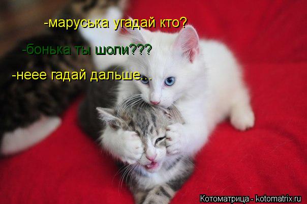 Котоматрица: -маруська угадай кто? -бонька ты шоли??? -неее гадай дальше...