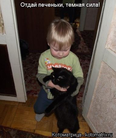 Котоматрица: Отдай печеньки, темная сила!