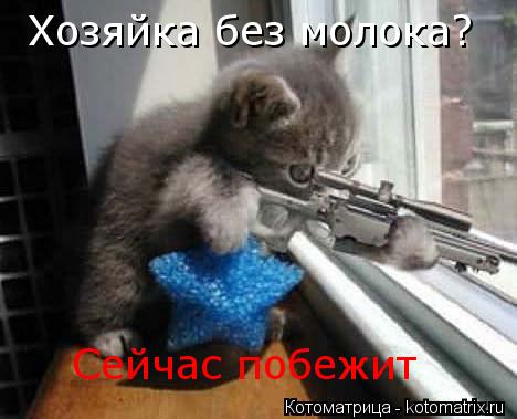 Котоматрица: Хозяйка без молока? Сейчас побежит