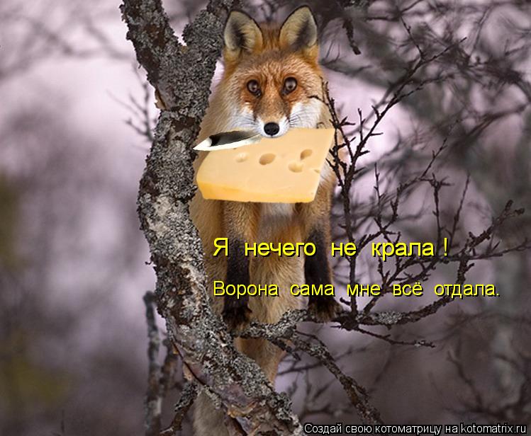 Котоматрица: Я  нечего  не  крала ! Я  нечего  не  крала ! Ворона  сама  мне  всё  отдала. Ворона  сама  мне  всё  отдала.