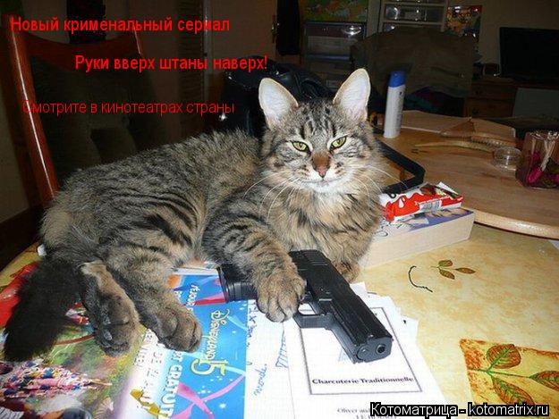 Котоматрица: Новый крименальный сериал Руки вверх штаны наверх! Смотрите в кинотеатрах страны