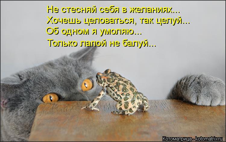 Котоматрица: Не стесняй себя в желаниях... Хочешь целоваться, так целуй... Об одном я умоляю... Только лапой не балуй...