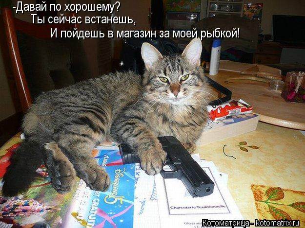 Котоматрица: -Давай по хорошему? Ты сейчас встанешь, И пойдешь в магазин за моей рыбкой!