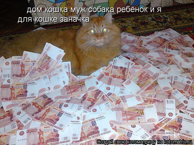Котоматрица: дом кошка муж собака ребёнок и я для кошке заначка