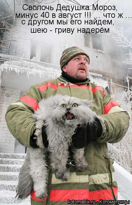Котоматрица: Сволочь Дедушка Мороз, минус 40 в август !!! ... что ж ... с другом мы его найдем, шею - гриву надерём