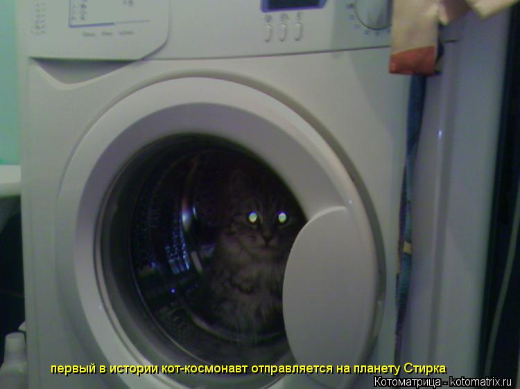 Котоматрица: первый в истории кот-космонавт отправляется на планету Стирка