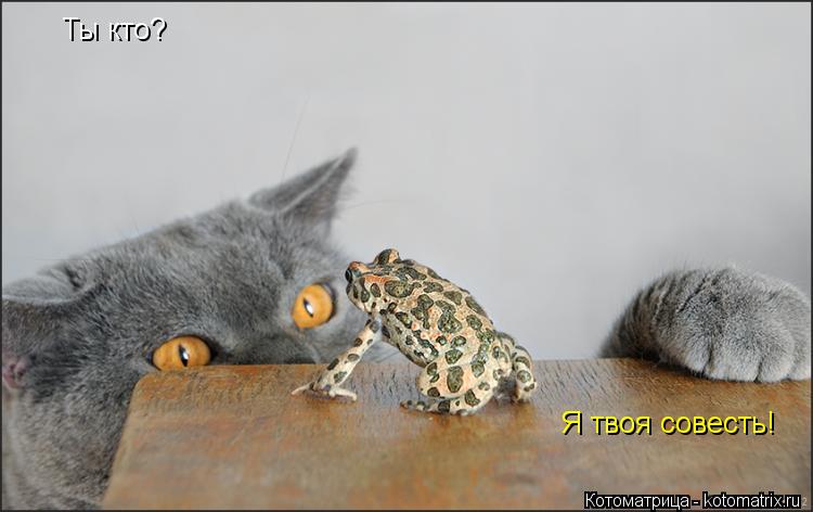 Котоматрица: Ты кто? Я твоя совесть!