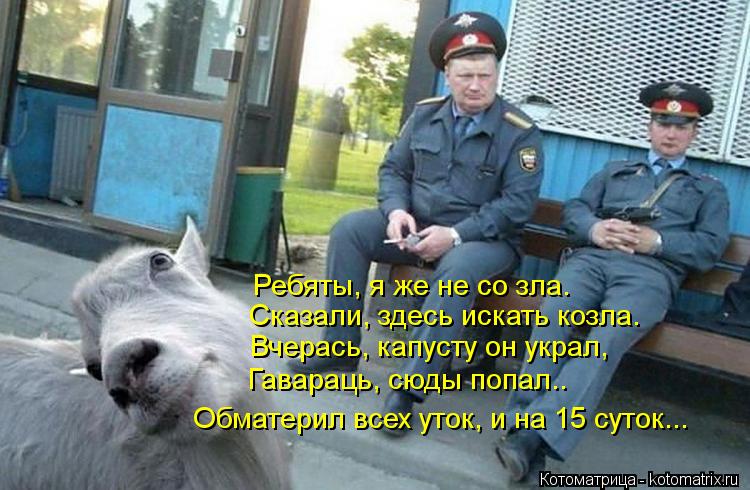 Котоматрица: Ребяты, я же не со зла. Сказали, здесь искать козла. Вчерась, капусту он украл, Гавараць, сюды попал.. Обматерил всех уток, и на 15 суток...
