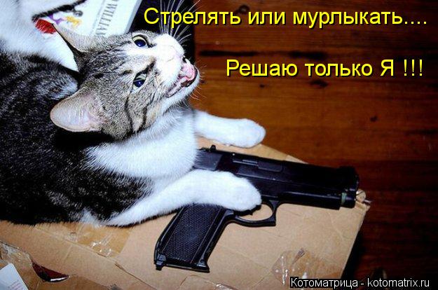 Котоматрица: Стрелять или мурлыкать.... Решаю только Я !!!