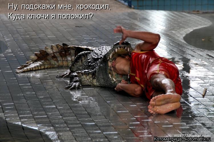 Котоматрица: Ну, подскажи мне, крокодил, Куда ключи я положил?