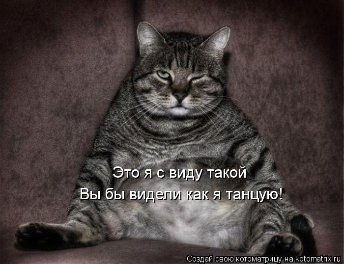 Это я с виду такой Вы бы видели как я танцую!... Котоматрица: Это я с виду такой Вы бы видели как я танцую!