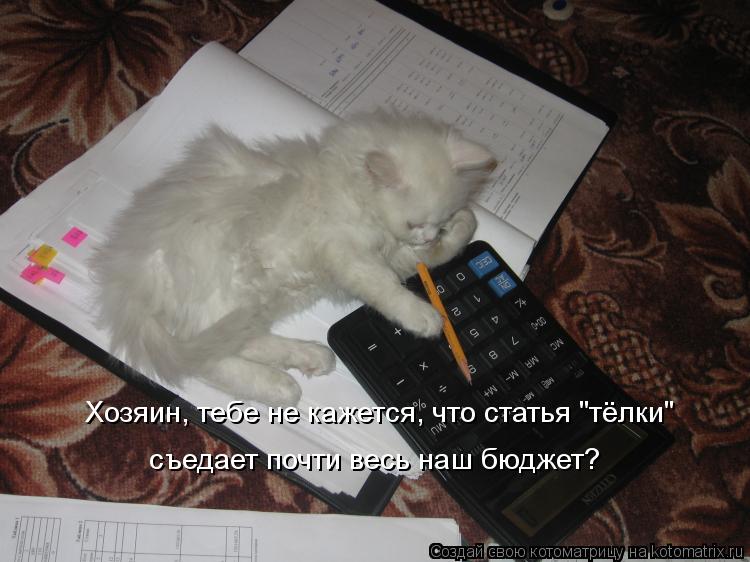 Котоматрица: Хозяин, тебе не кажется, что статья "тёлки" съедает почти весь наш бюджет?