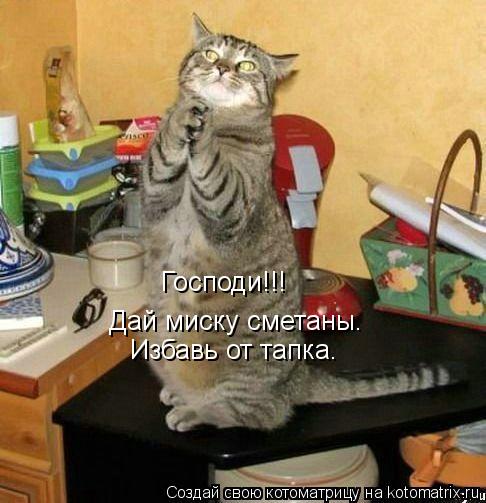Котоматрица: Господи!!! Дай миску сметаны. Избавь от тапка.
