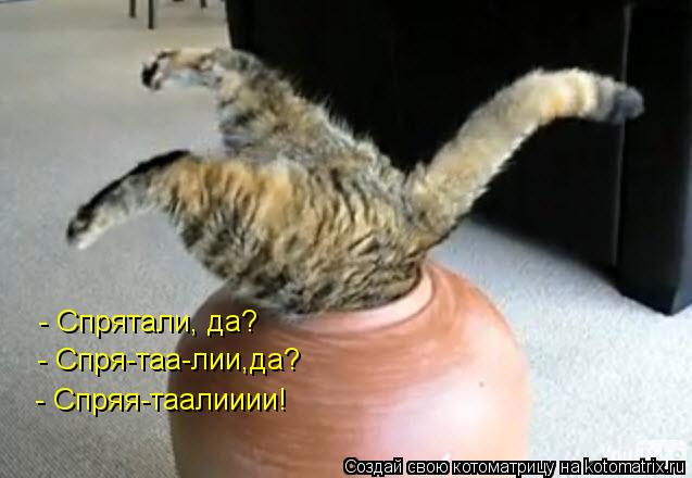 Котоматрица: - Спрятали, да? - Спря-таа-лии,да? - Спряя-таалииии!