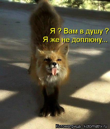 Котоматрица: Я ? Вам в душу ? Я же не доплюну...