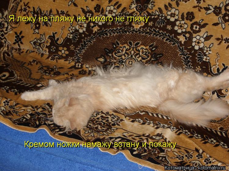 Котоматрица: Я лежу на пляжу не никого не гляжу Кремом ножки намажу встану и покажу