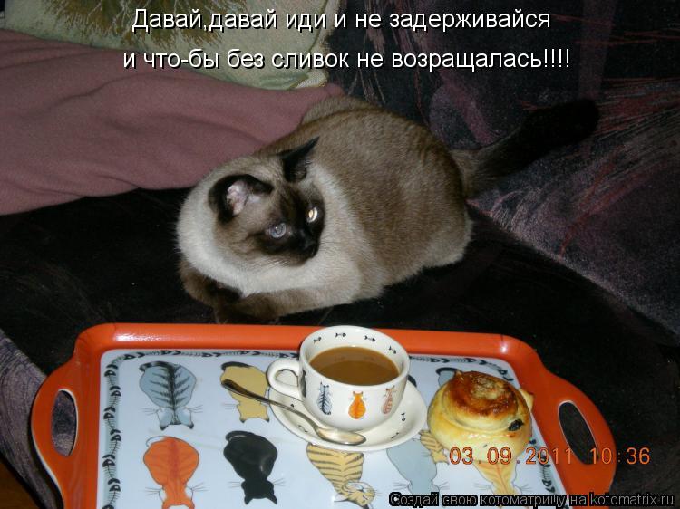 Котоматрица: Давай,давай иди и не задерживайся  и что-бы без сливок не возращалась!!!!