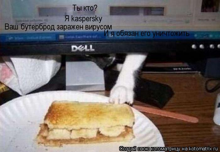 Котоматрица: Ты кто? Я kaspersky Ваш бутерброд заражен вирусом И я обязан его уничтожить