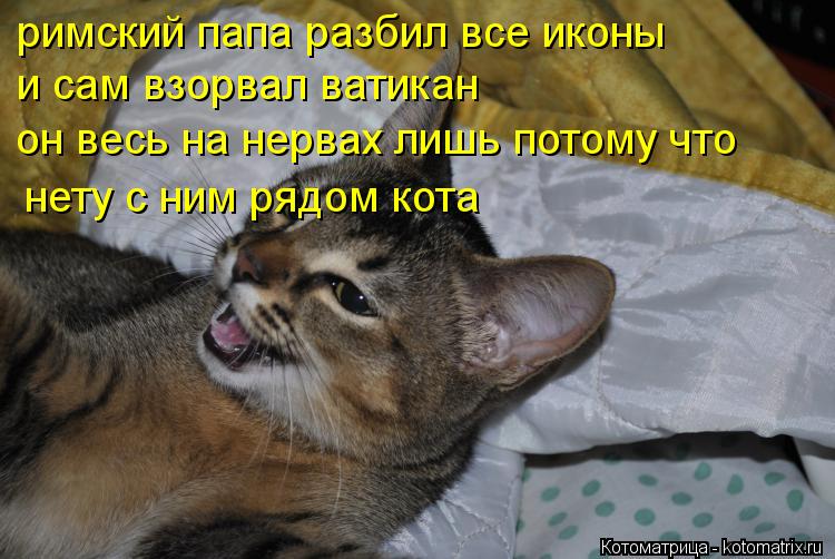 Котоматрица: римский папа разбил все иконы  и сам взорвал ватикан он весь на нервах лишь потому что нету с ним рядом кота