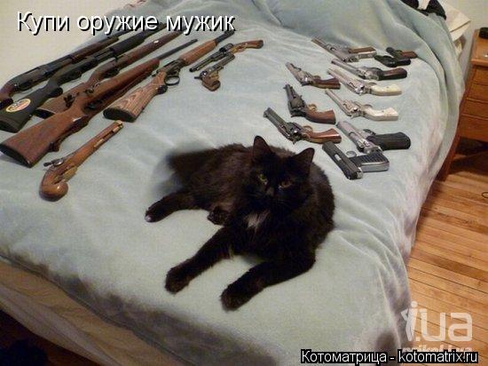 Котоматрица: Купи оружие мужик Купи оружие мужик