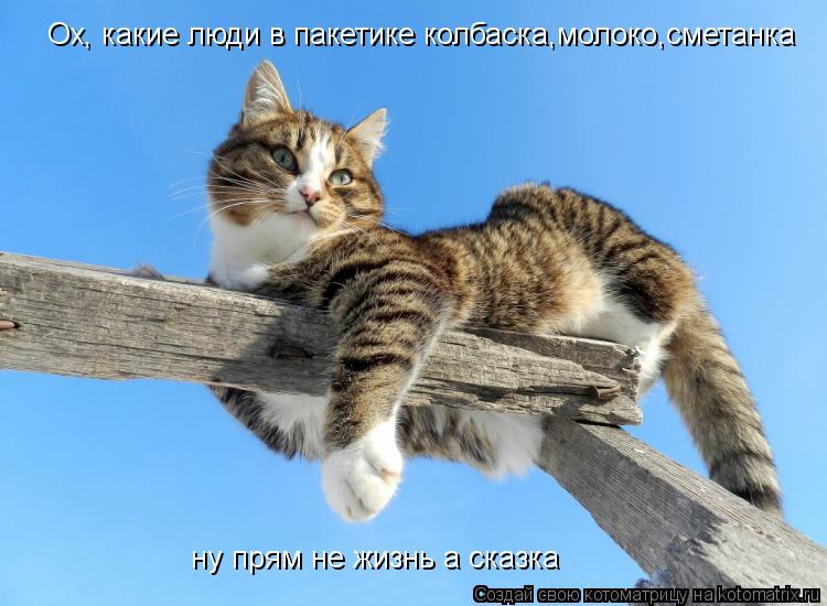 Котоматрица: Ох, какие люди в пакетике колбаска,молоко,сметанка  ну прям не жизнь а сказка