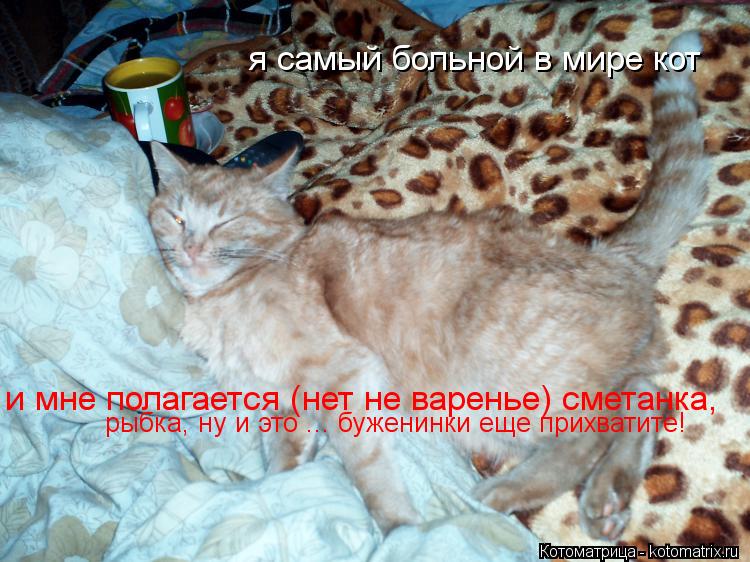 я самый больной в мире кот и мне полагается (нет не варенье) сметанка, рыбка, ну и это ... буженинки... Котоматрица: я самый больной в мире кот и мне полагается (нет не варенье) сметанка, рыбка, ну и это ... буженинки еще прихватите!
