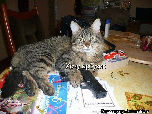 Котоматрица: Хочу арбузик