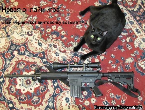 Котоматрица: Новая онлайн игра  Если чёрный кот винтовочку возьмёт!=D
