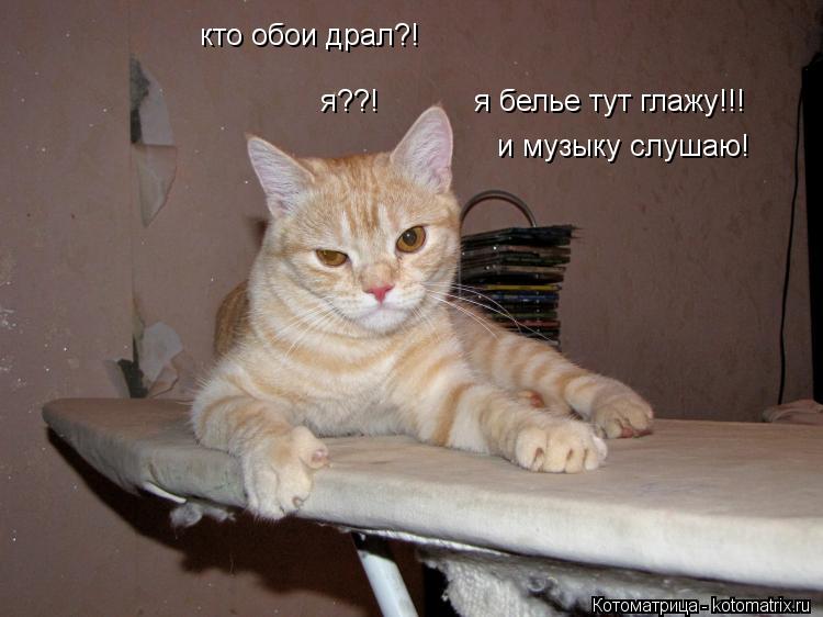 Котоматрица: кто обои драл?! я??! я белье тут глажу!!! и музыку слушаю!
