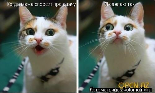 Котоматрица: Когда мама спросит про сдачу                       Я сделаю так
