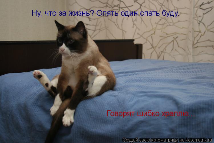 Котоматрица: Ну, что за жизнь? Опять один спать буду. Говорят шибко храплю...
