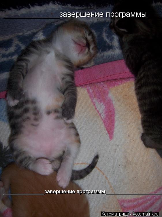 Котоматрица: _____________завершение программы____________________ _____________завершение программы____________________