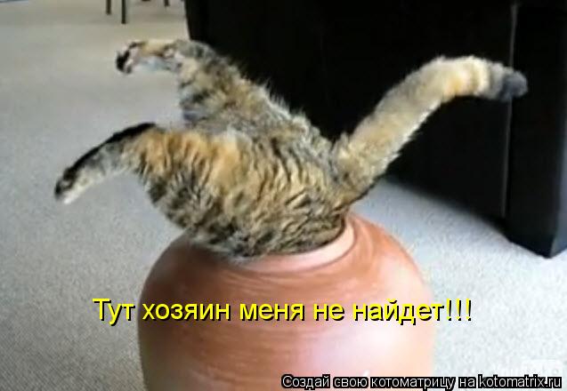 Котоматрица: Тут хозяин меня не найдет!!!