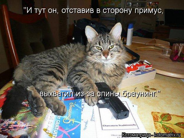 Котоматрица: "И тут он, отставив в сторону примус,   выхватил из-за спины браунинг."