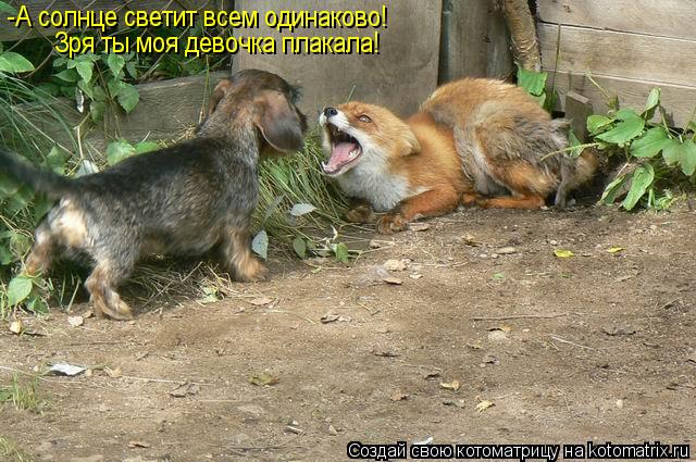 Котоматрица: -А солнце светит всем одинаково! Зря ты моя девочка плакала!