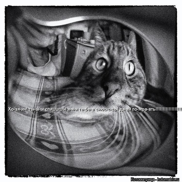 Котоматрица: Хо-зя-ин! ты-ы-ы спишшшь! я-я-я те-бе-е снюс-с-сь! да-ай по-жра-ать!!!!!!!!!!!!!!!!!!!