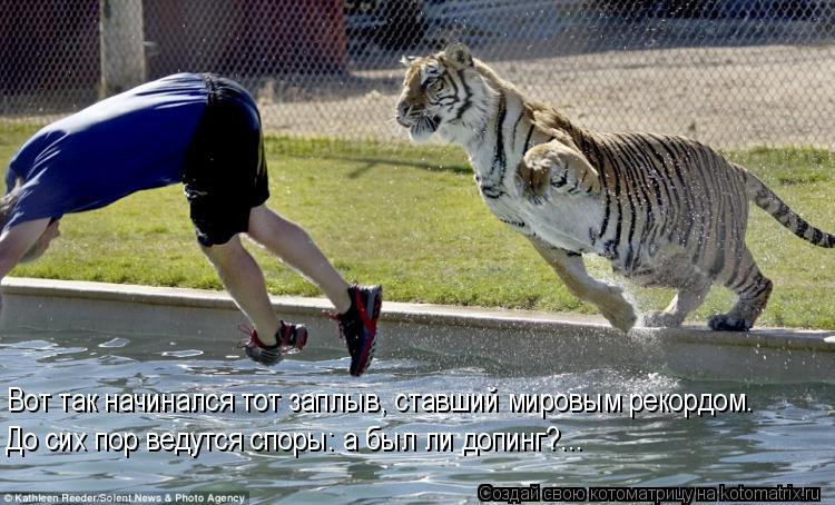 Котоматрица: Вот так начинался тот заплыв, ставший мировым рекордом. До сих пор ведутся споры: а был ли допинг?...