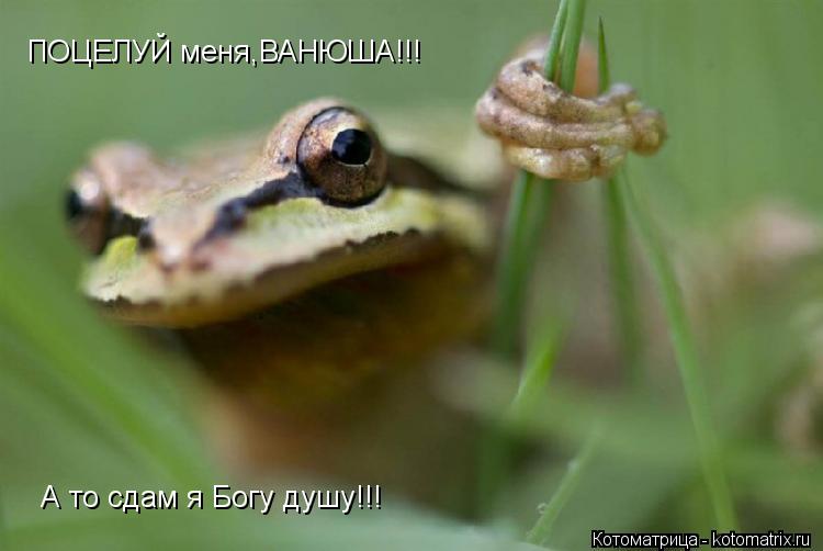 Котоматрица: ПОЦЕЛУЙ меня,ВАНЮША!!! А то сдам я Богу душу!!!