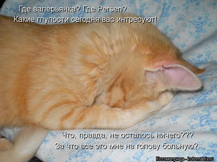 Где валерьянка? Где Persen? Какие глупости сегодня вас интресуют! Что, правда, не осталось ничего??? ... Котоматрица: Где валерьянка? Где Persen? Какие глупости сегодня вас интресуют! Что, правда, не осталось ничего??? За что все это мне на голову больную?...